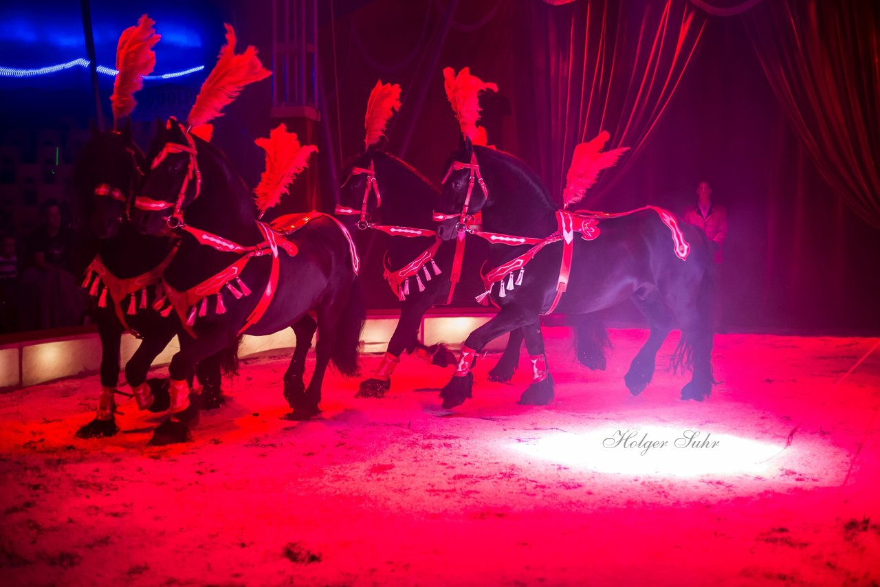 Bild 65 - Circus Europa
